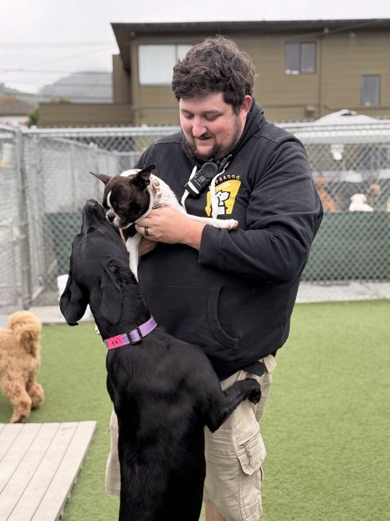 A dog at AlphaDog