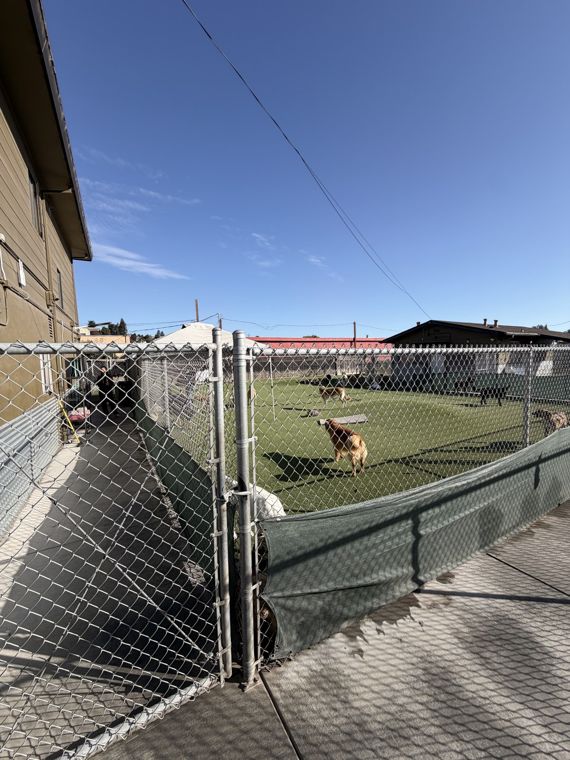AlphaDog facility