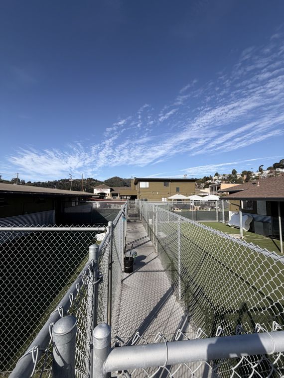 AlphaDog facility